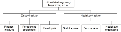 Segmentace organizace
